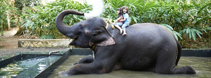 540/Club Mahindra Thekkady - Thekkady 09.jpg